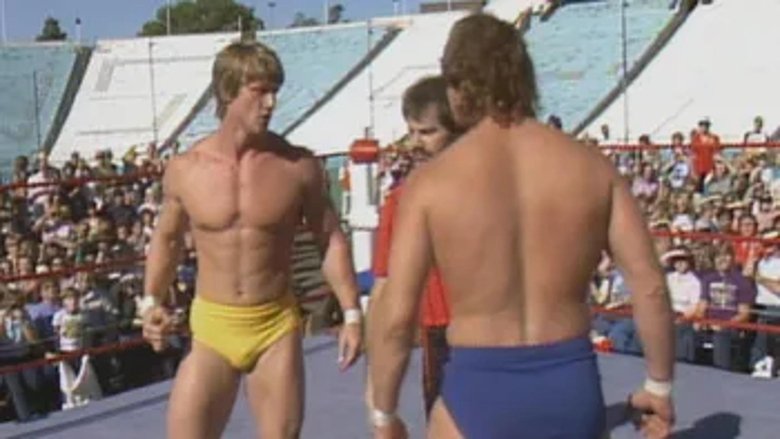 WCCW - November 10, 1984