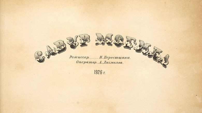 Savur-Mogila backdrop 2
