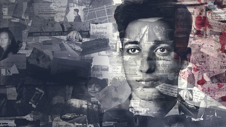 The Case Against Adnan Syed backdrop 2