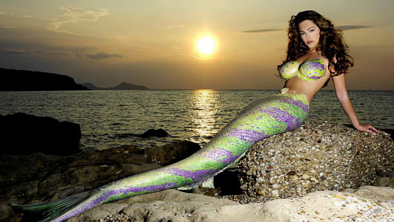 Fishtales backdrop 4