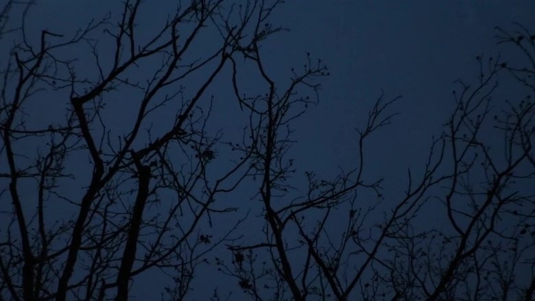 Ode to Big Booty Bitches