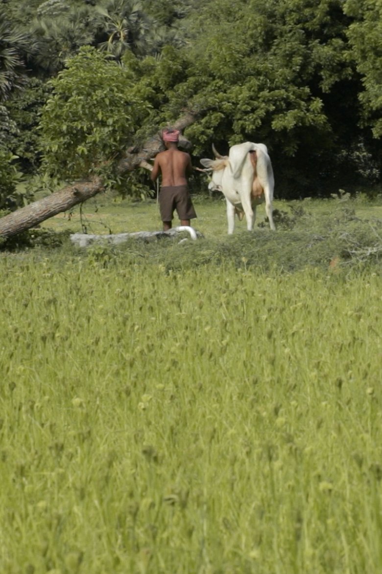 Where I Can’t Be Found