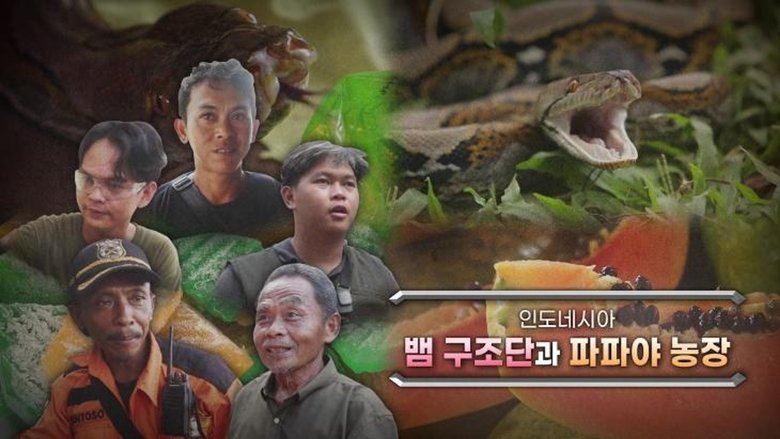 Episode 1184
