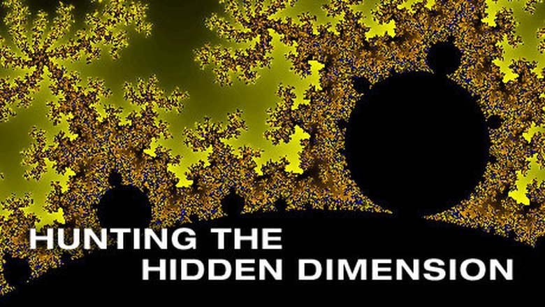 Hunting The Hidden Dimension