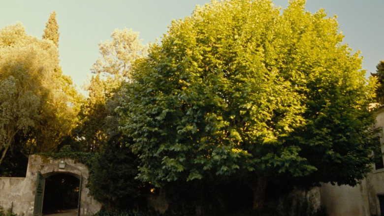 The Spousals of God backdrop 6