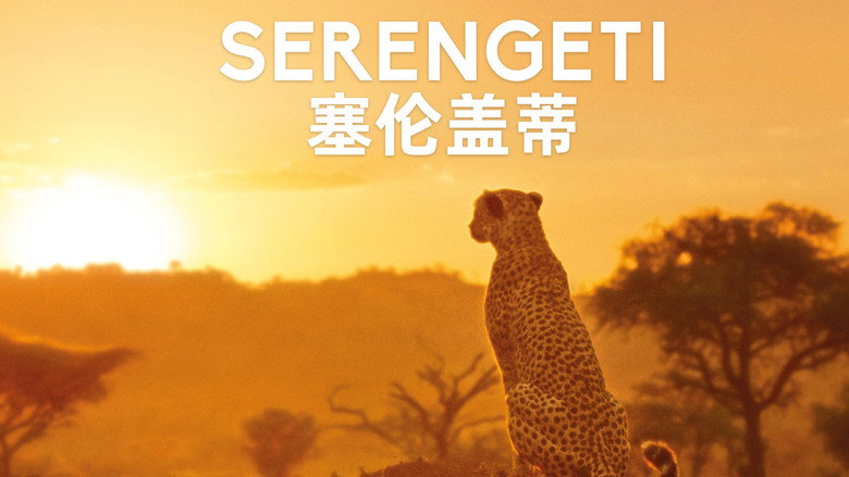 Serengeti backdrop 8