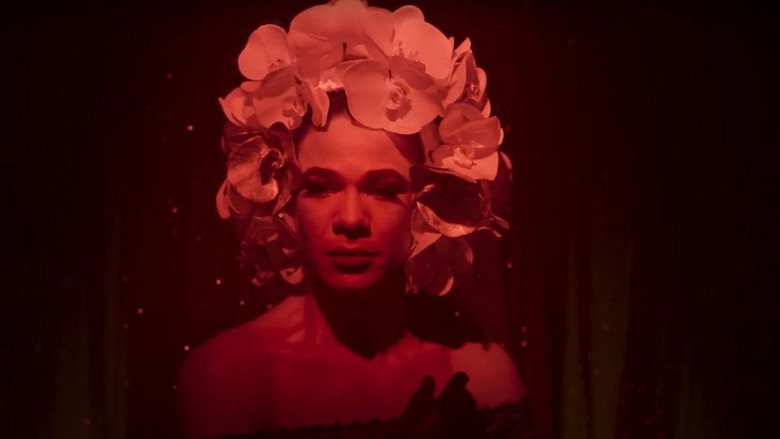 Candela backdrop 2