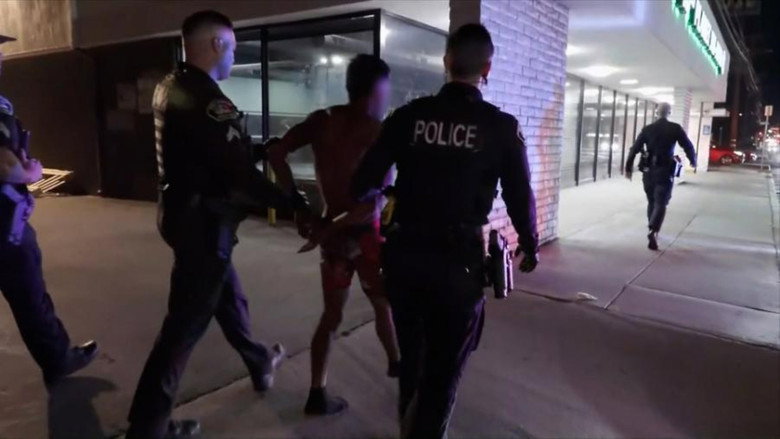 Burglary in Progress