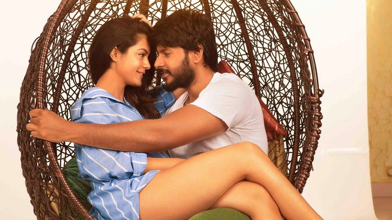 Ninu Veedani Needanu Nene backdrop 6