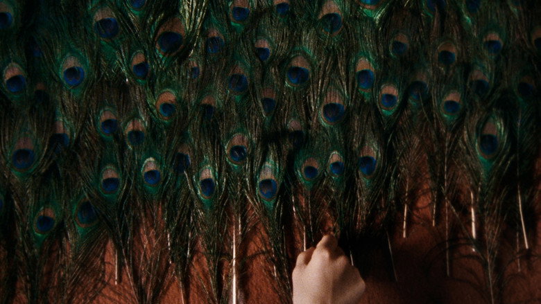 The Metamorphosis of Birds backdrop 9