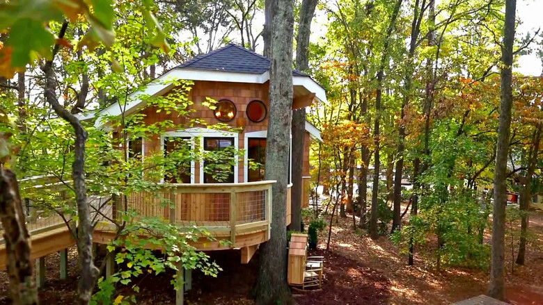 The Owl Treehouse