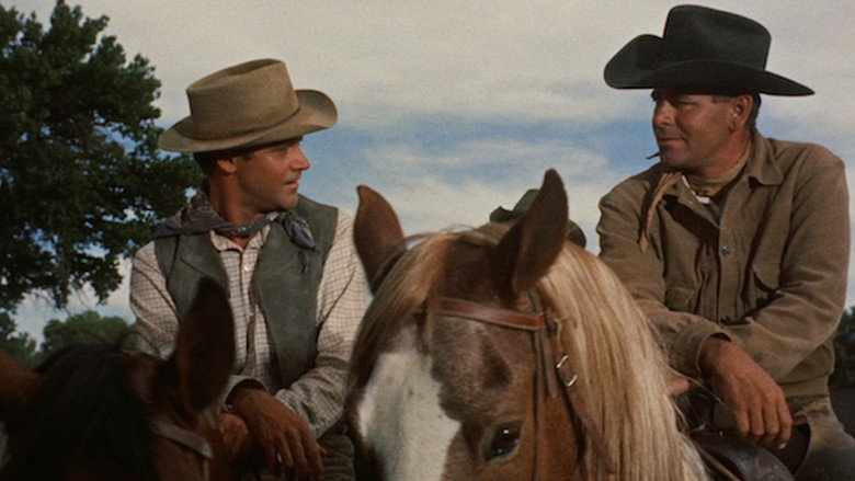 Cowboy backdrop 7