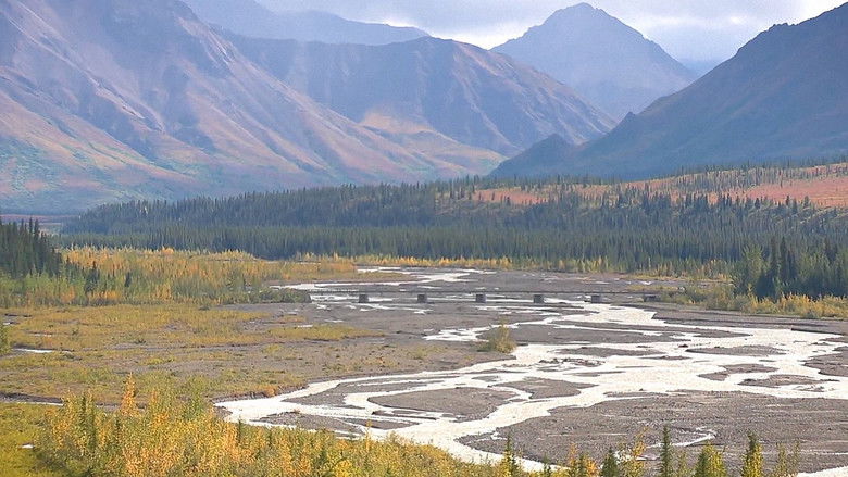 Denali National Park and Preserve