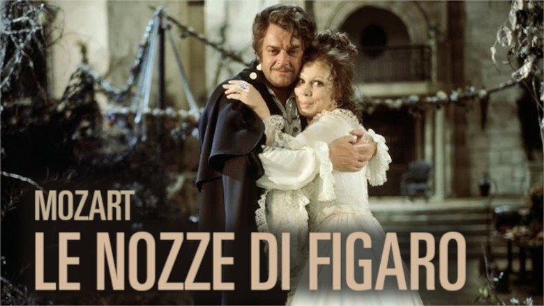 The Marriage of Figaro backdrop 2