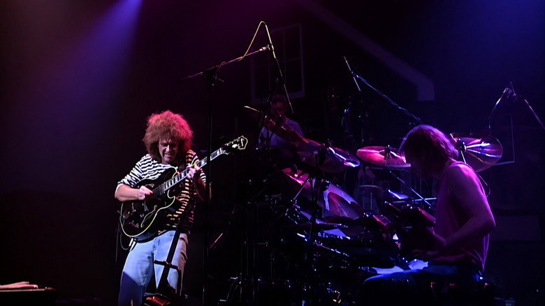 Pat Metheny Group: We Live Here backdrop 1