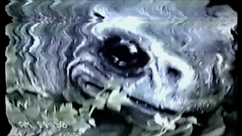 Frogman backdrop 3