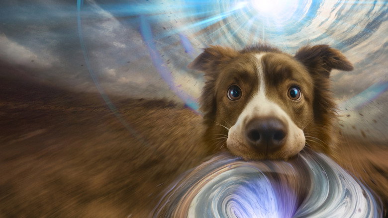 The Dog of Many Tomorrows backdrop 2