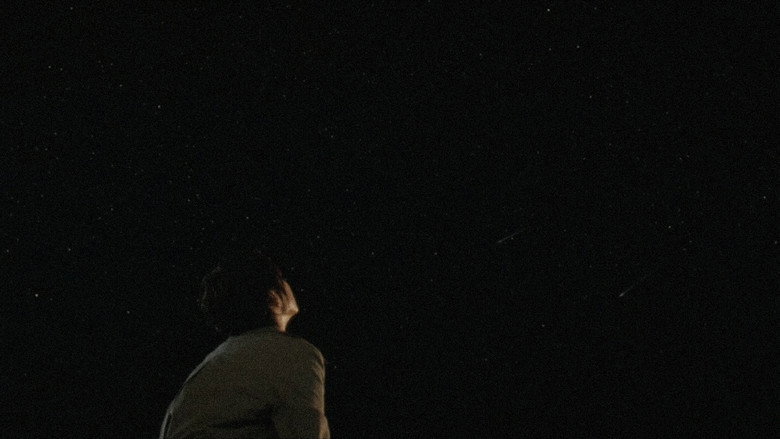 Night of the Shooting Stars backdrop 3
