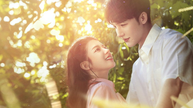 Serendipity Love backdrop 3