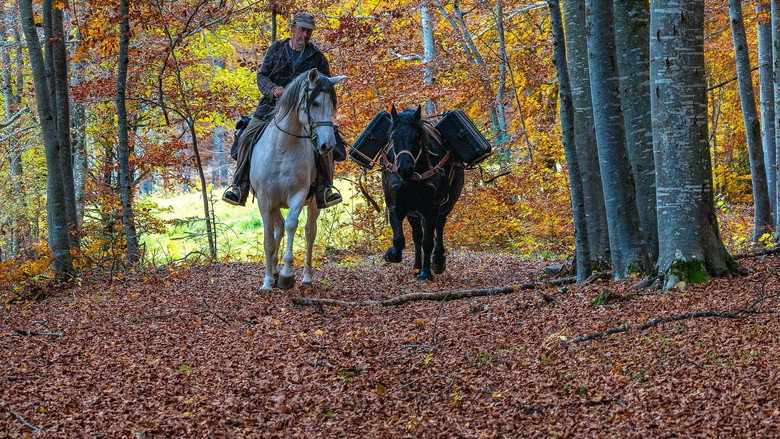 La vallée des loups backdrop 3