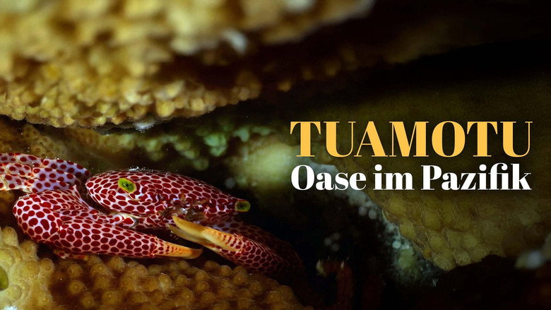 Wild Tuamotus backdrop 2