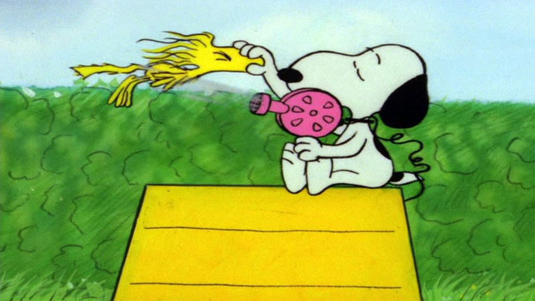 It's a Mystery, Charlie Brown線上电影看完整版