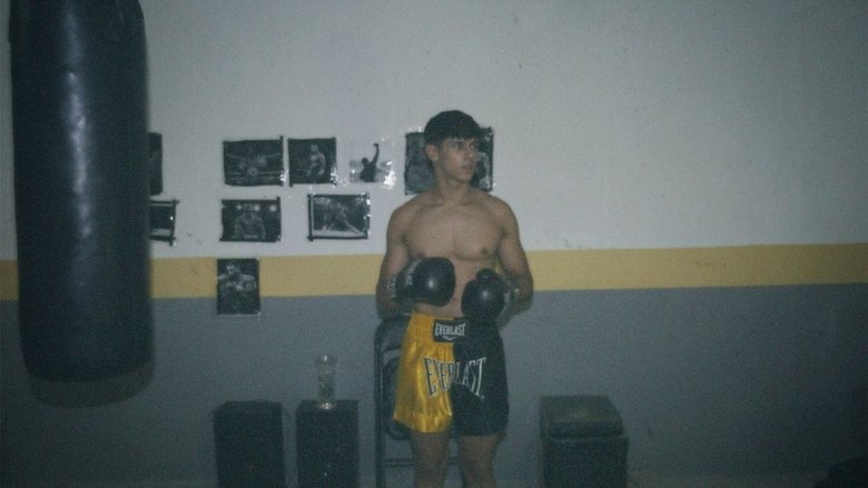 Tomeu Seguí