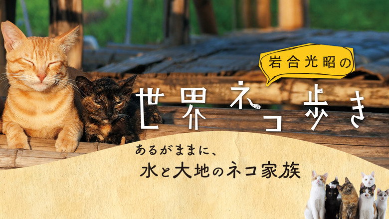 Mitsuaki Iwago's World “Cats” Travelogue backdrop 2