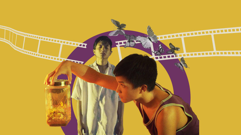 Metamorphosis下载完整版