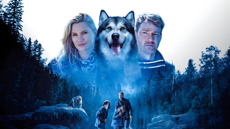 Hero Dog: The Journey Home backdrop 3