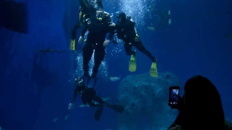 Preben and the sharks