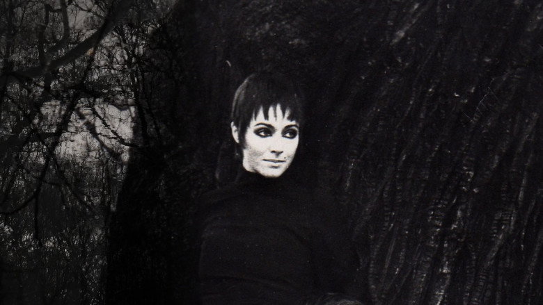 Penny Slinger: Out of the Shadows backdrop 6