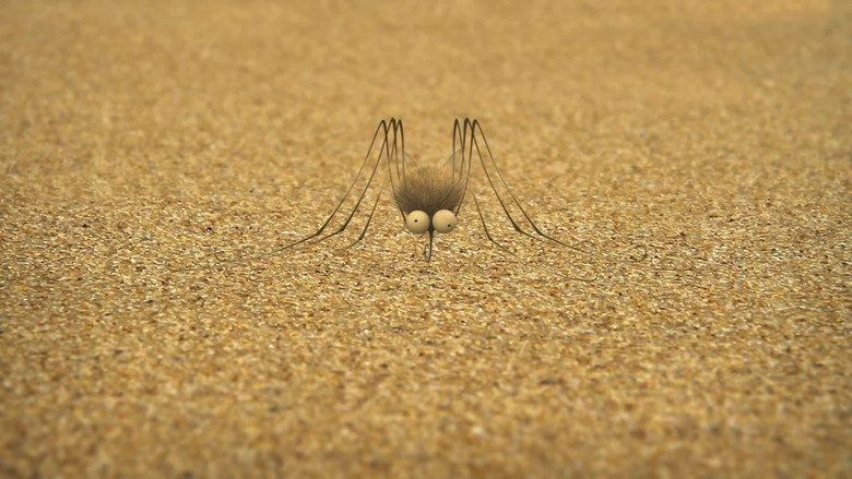 The mosquito of the caribbean