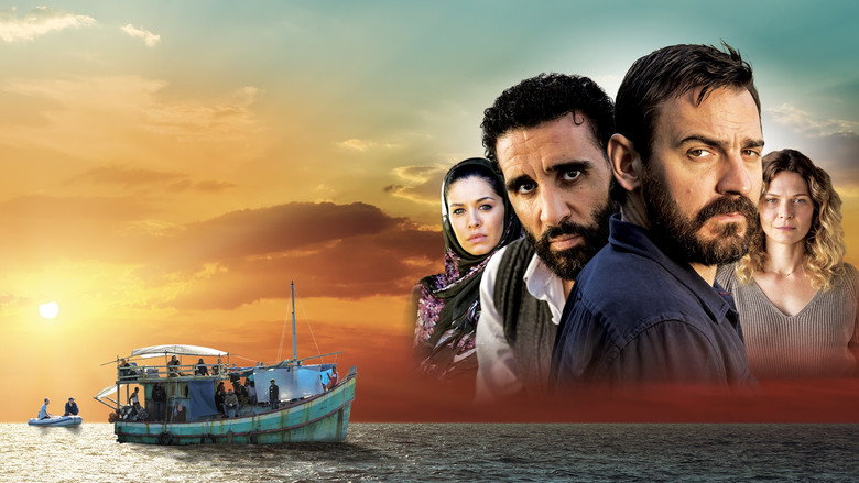 Safe Harbour backdrop 5
