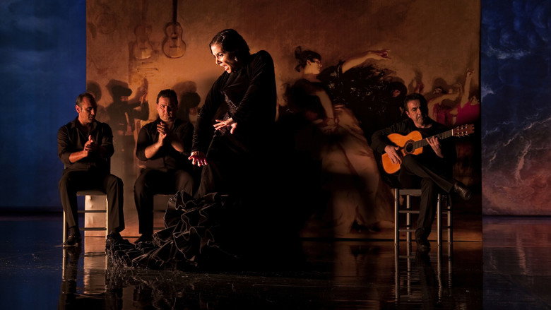 Flamenco Flamenco backdrop 5