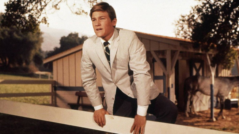 The Horse in the Gray Flannel Suit backdrop 6