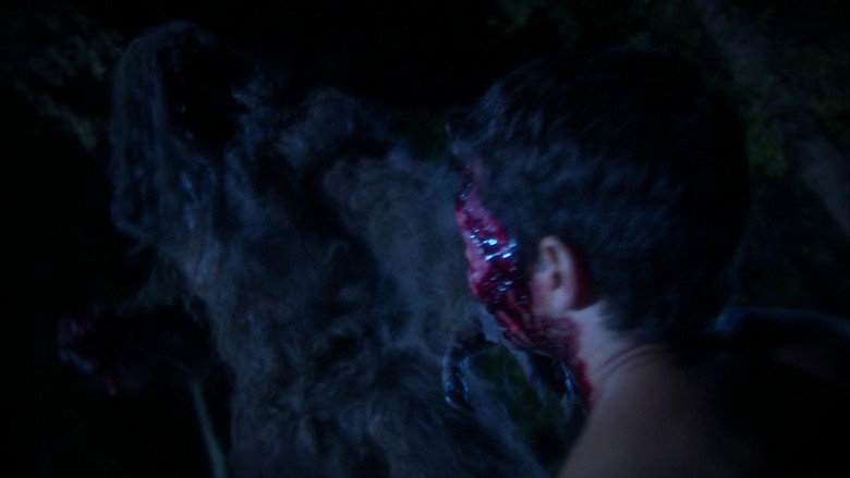 Boggy Creek backdrop 9