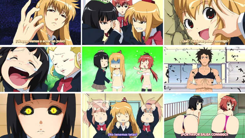 Plastic Elder Sister backdrop 3
