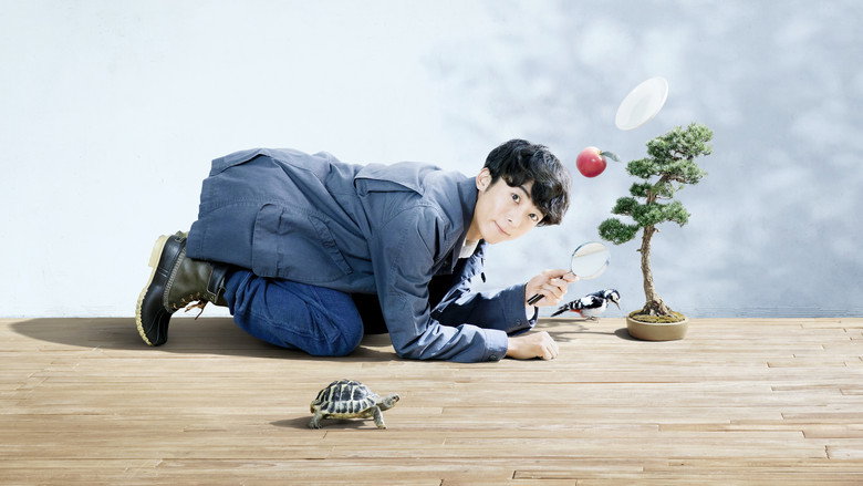 Miracles backdrop 4
