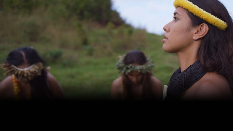 The Islands backdrop 2