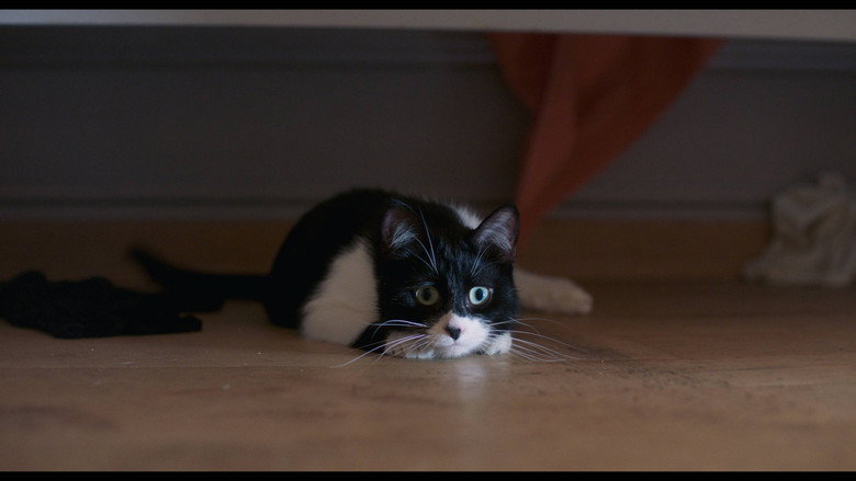 J'ai tué votre chat backdrop 2