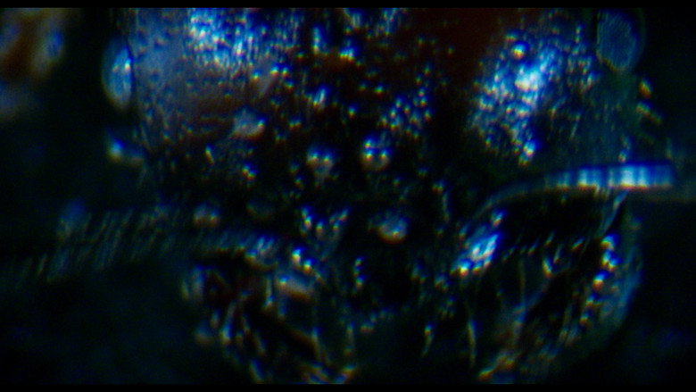 Antface backdrop 1