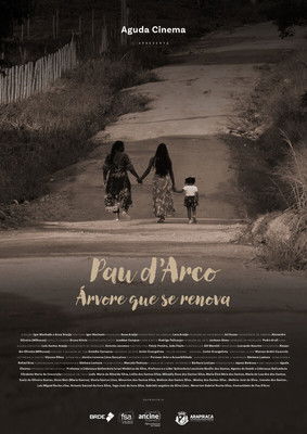 Pau D’arco: Árvore que Se Renova