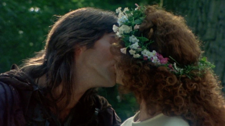 Robin of Sherwood: Robin Hood and the Sorcerer backdrop 6