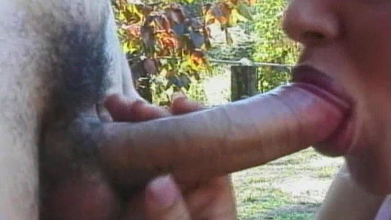 Young Tender Trannies 22 backdrop 1