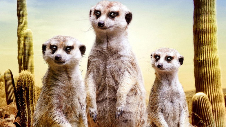 Die Erdmännchen Gang 3D - Wilde Abenteuer in der Kalahari-Wüste線上电影看完整版