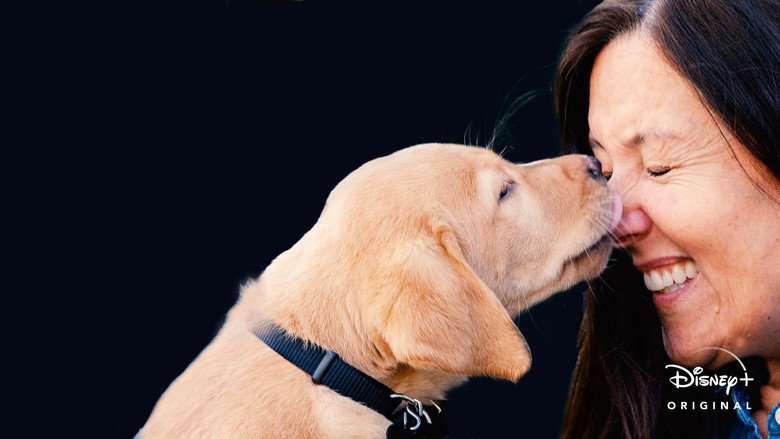 Pick of the Litter backdrop 4