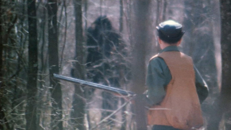 The Legend of Boggy Creek backdrop 2