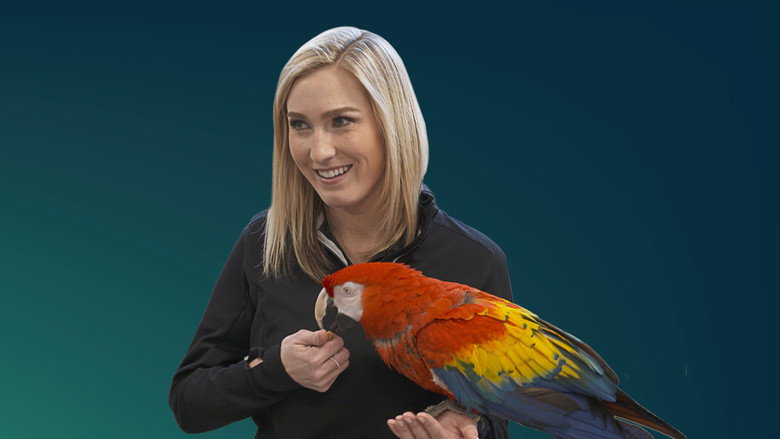 Secrets of the Zoo backdrop 3