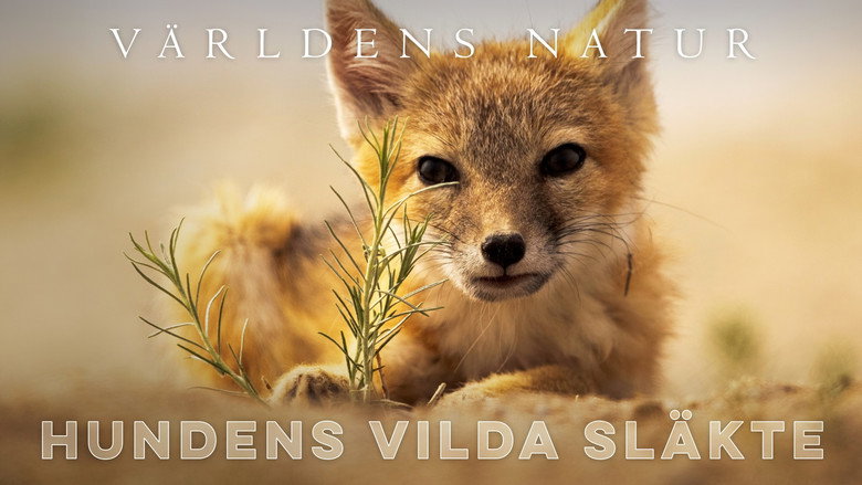 Dogs in the Wild: Meet the Family backdrop 6